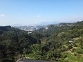 DSC06709.JPG