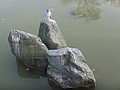 DSC06724.JPG