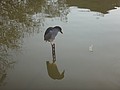 DSC06730.JPG