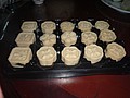 DSC06741.JPG
