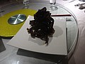 DSC06750.JPG