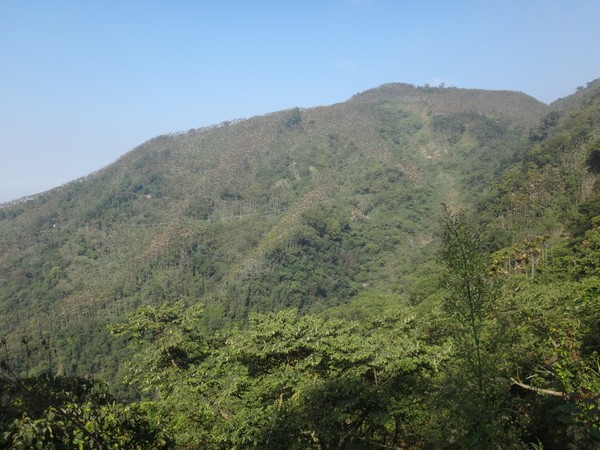 DSC06852.JPG