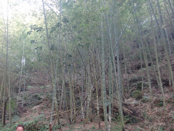 DSC06868.JPG