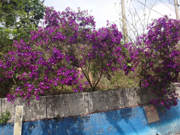 DSC06878.JPG