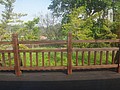 DSC06838.JPG