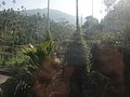 DSC06843.JPG