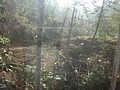 DSC06844.JPG