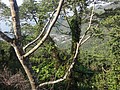 DSC06848.JPG
