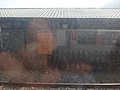 DSC06862.JPG