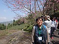 DSC06869.JPG