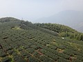DSC06884.JPG