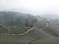 DSC06885.JPG