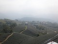 DSC06886.JPG