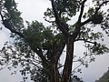 DSC06900.JPG