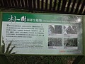 DSC06901.JPG