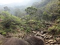 DSC06910.JPG