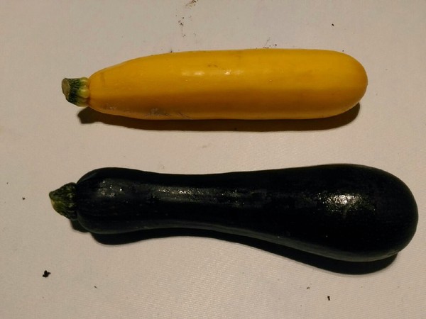 20160408_2020.jpg