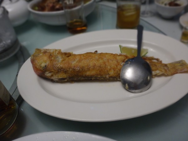 DSC07074.JPG