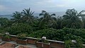 20160427_1952.jpg