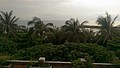 20160427_9042.jpg