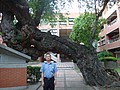 DSC07461.JPG
