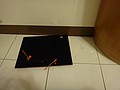 DSC07476.JPG