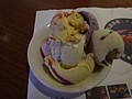 DSC08364.JPG