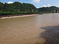 DSC07631.JPG