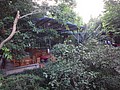 DSC07667.JPG