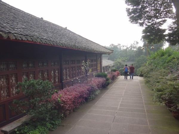 DSC07705.JPG