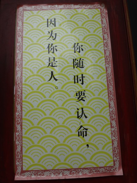 DSC07713.JPG