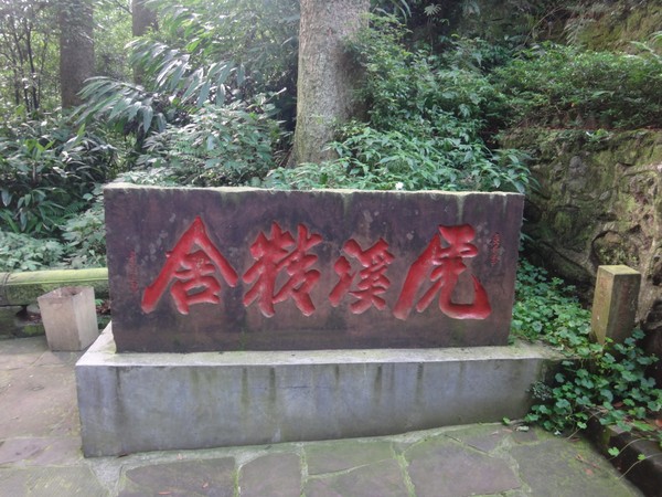 DSC07728.JPG
