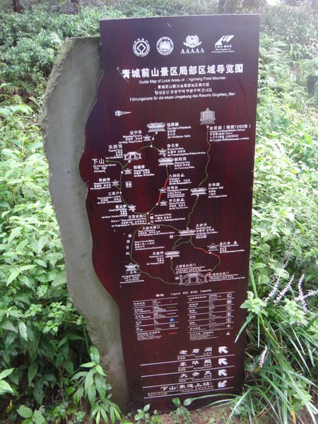 DSC07803.JPG