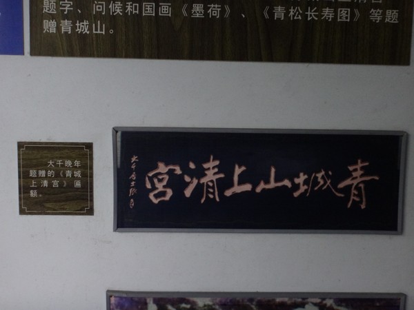 DSC07809.JPG