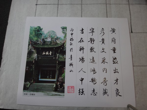 DSC07833.JPG