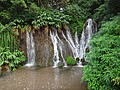 DSC07686.JPG