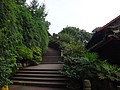 DSC07704.JPG