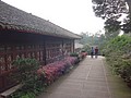 DSC07705.JPG