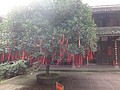 DSC07731.JPG