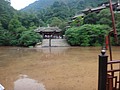 DSC07771.JPG
