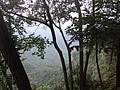 DSC07797.JPG