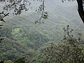 DSC07802.JPG