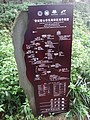 DSC07803.JPG