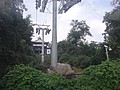 DSC07811.JPG