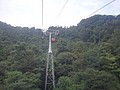 DSC07815.JPG
