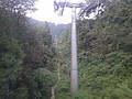DSC07821.JPG