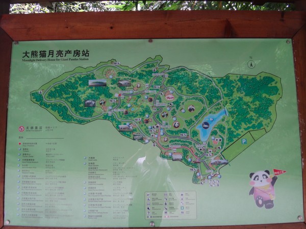 DSC07964.JPG
