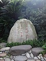 DSC07863.JPG