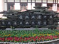 DSC07898.JPG