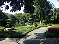 DSC07900.JPG